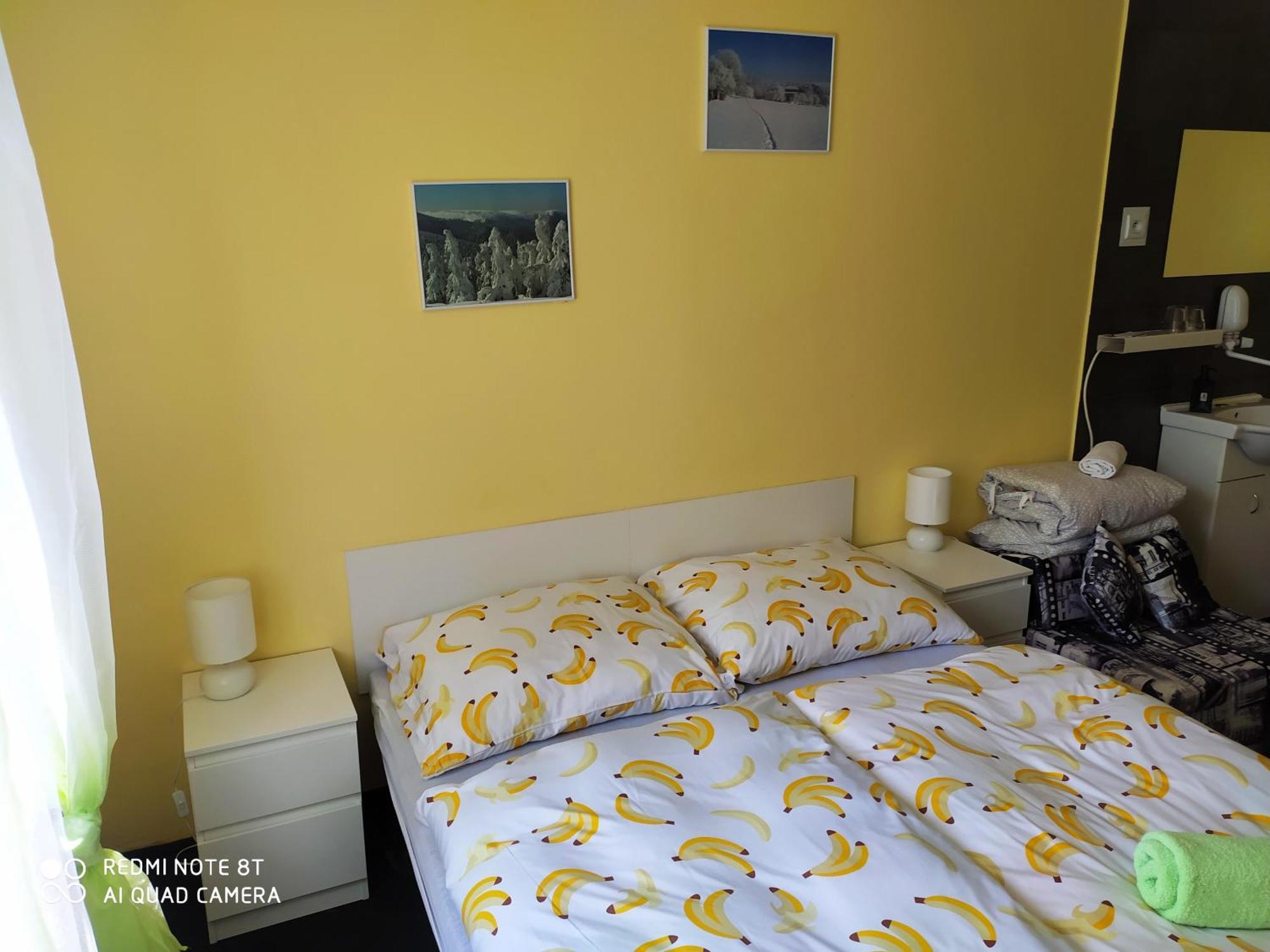 Wellness Penzion Triola Kořenov Екстериор снимка